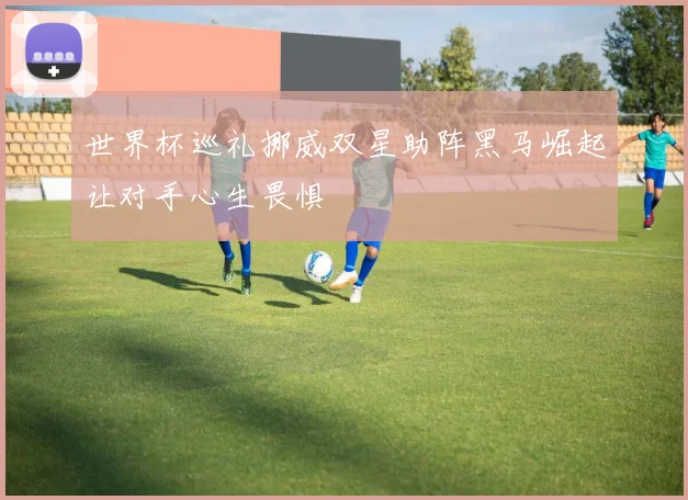 世界杯巡礼挪威双星助阵黑马崛起让对手心生畏惧